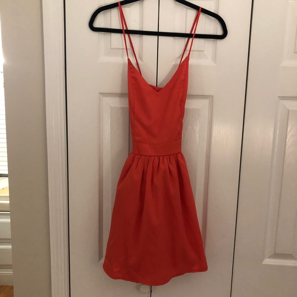 Tobi Skater Dress